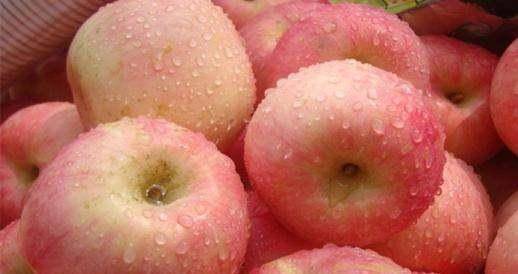 苹果新加坡版是中国产的吗:晚上不能吃苹果吗。有人说晚上吃苹果就等于吃砒霜。是这样的吗