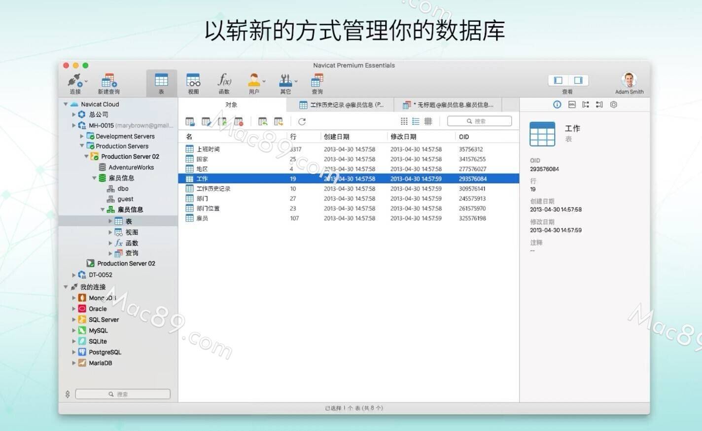 主题库安卓版仿苹果软件:数据库管理Navicat Premium 苹果中文绿色版下载 mac数据库开发软件安装教程-第8张图片-太平洋在线下载