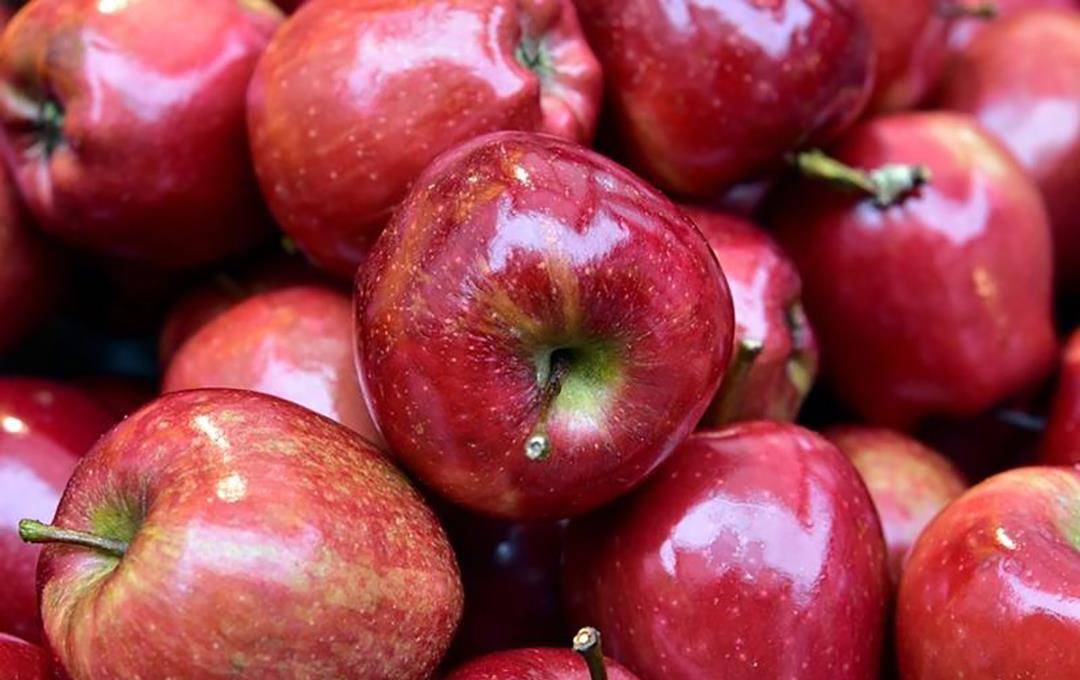 迷你世界买苹果版:买到松的、不甜的苹果？除了打果汁，还有5种美味吃法！