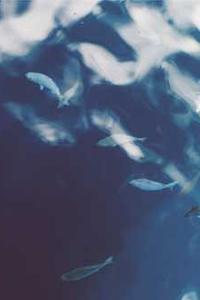 苹果版时空猎人脚本修改-第1张图片-太平洋在线下载