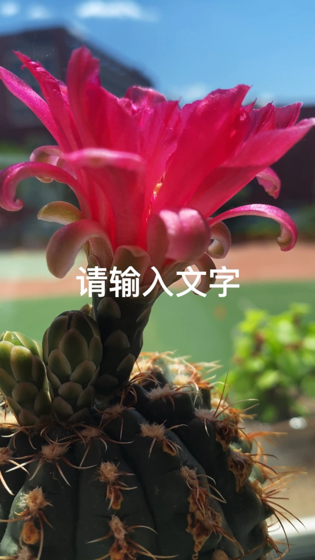 美事苹果手机版下载美事app是干什么的